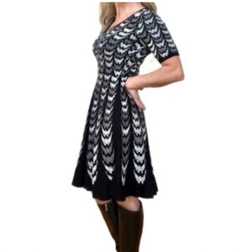 Roz & Ali Black and White Chevron Midi Dress